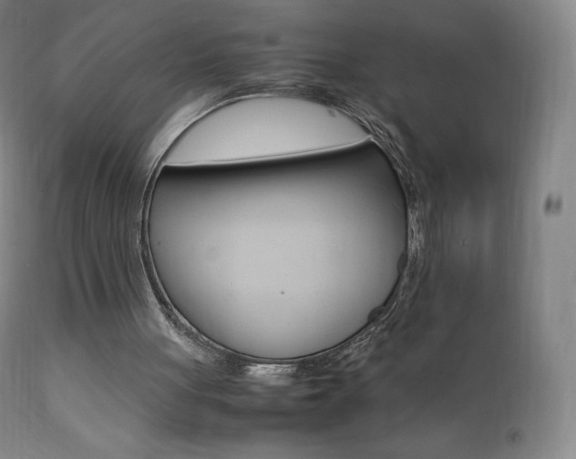 X0000111390051200907101011