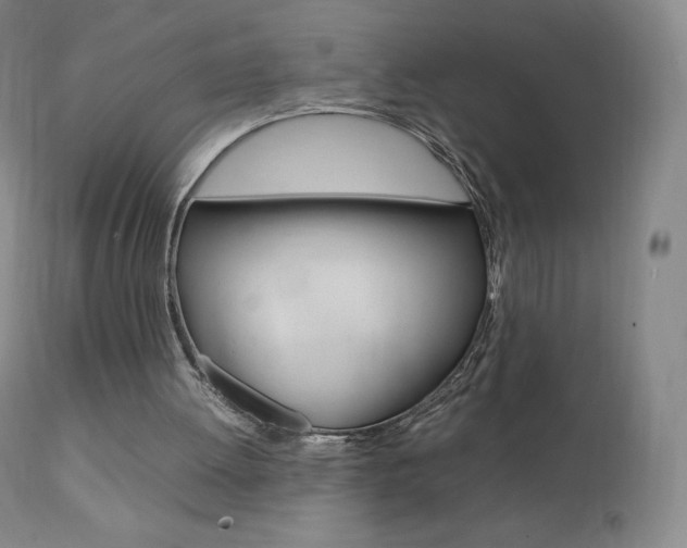 X0000111390052200907101011