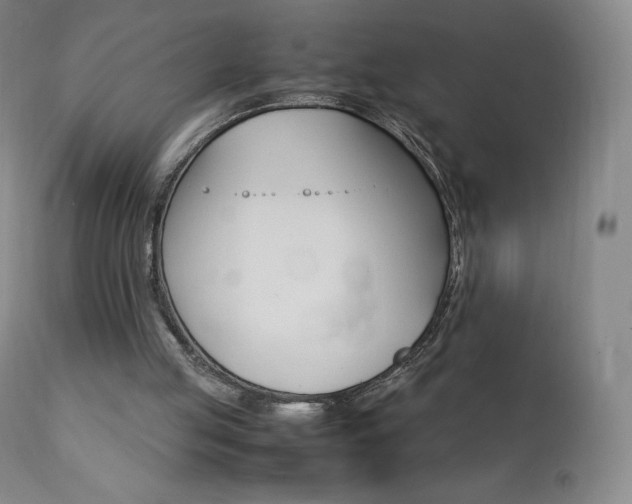 X0000111390053200907101011