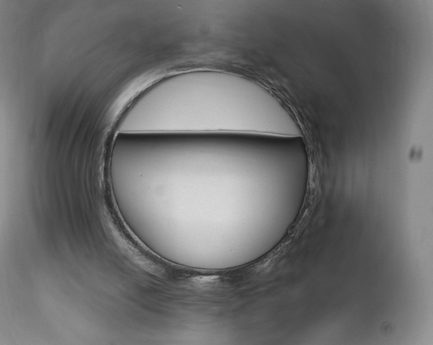 X0000111390054200907101011