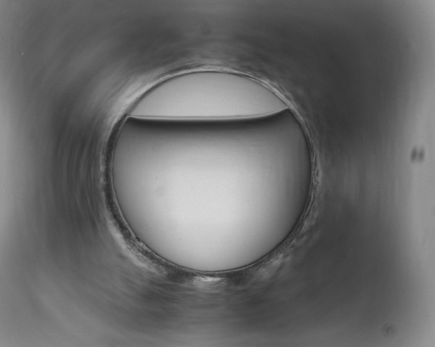 X0000111390055200907101011