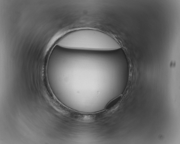 X0000111390056200907101011