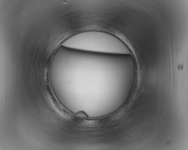 X0000111390057200907101011