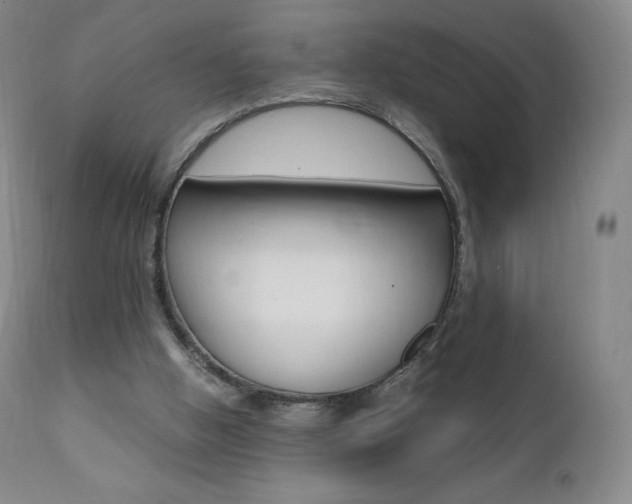 X0000111390058200907101011