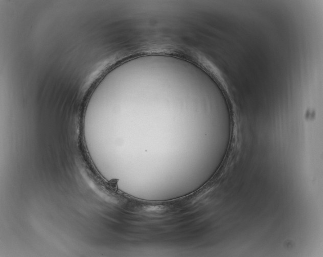 X0000111390059200907101011