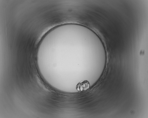 X0000111390060200907101011