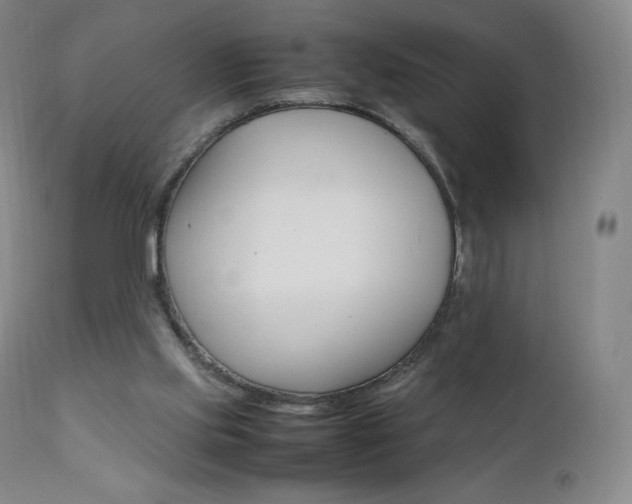 X0000111390061200907101011