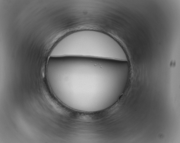 X0000111390062200907101011