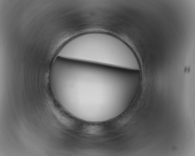X0000111390063200907101011