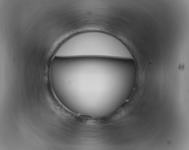 X0000111390064200907101011