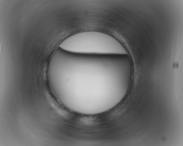 X0000111390065200907101011