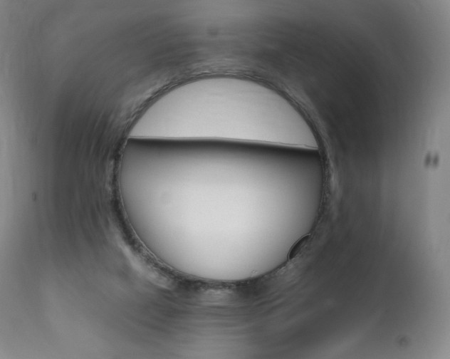 X0000111390066200907101011