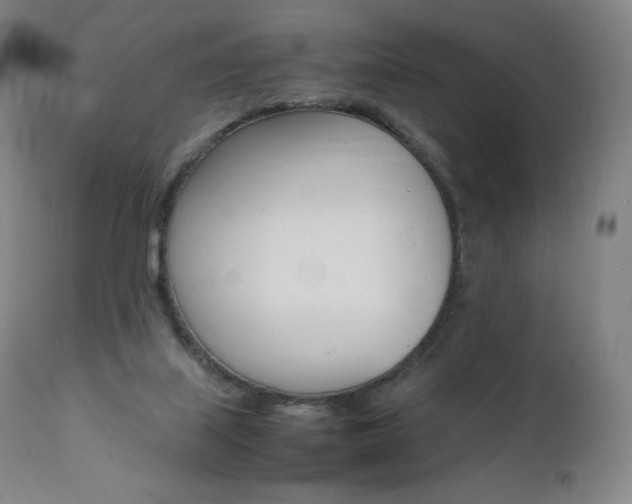X0000111390067200907101011