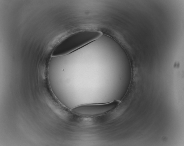 X0000111390068200907101011