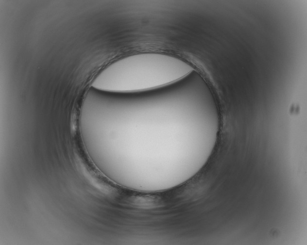 X0000111390069200907101011