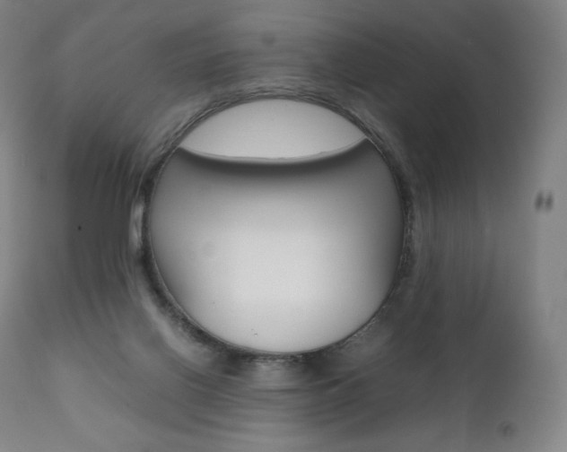 X0000111390070200907101011