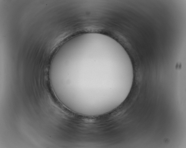 X0000111390071200907101011