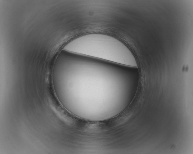 X0000111390072200907101011