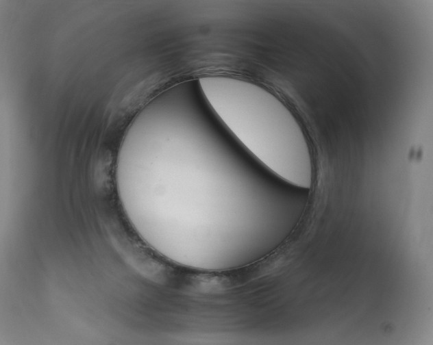 X0000111390073200907101011