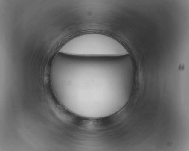 X0000111390074200907101011