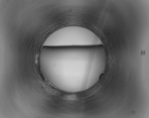 X0000111390075200907101011