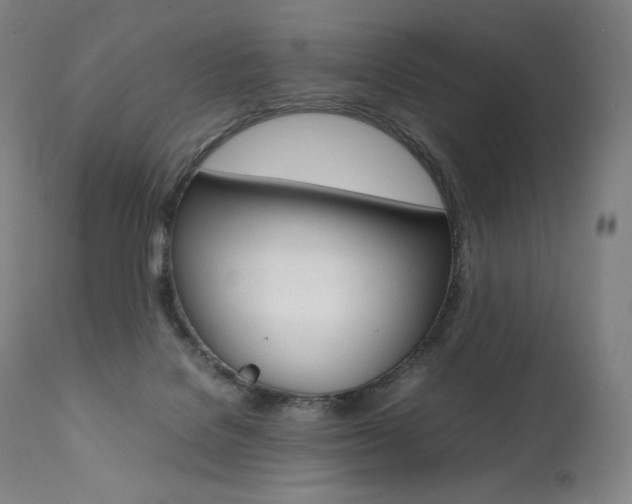 X0000111390076200907101011