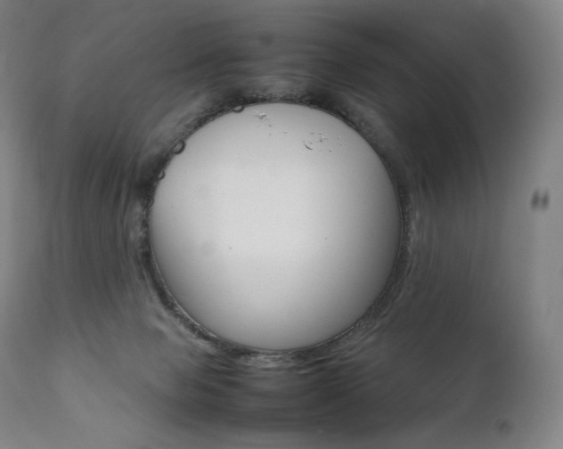 X0000111390077200907101011