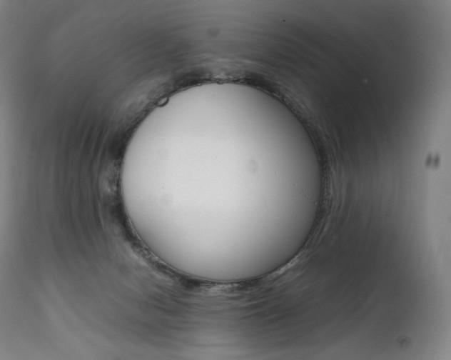 X0000111390078200907101011