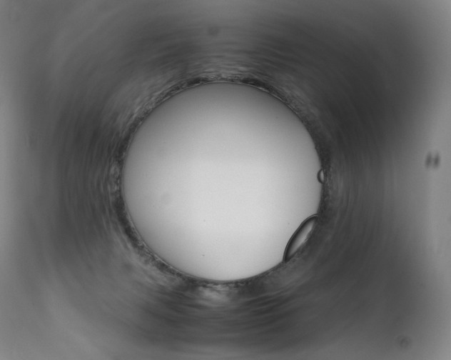X0000111390079200907101011