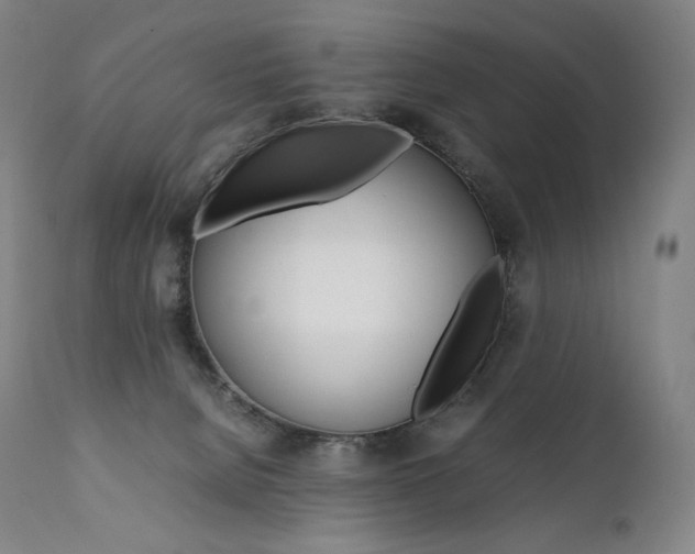 X0000111390080200907101011
