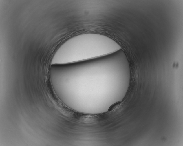 X0000111390082200907101011