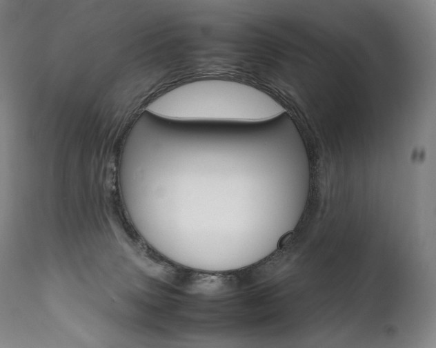X0000111390083200907101011