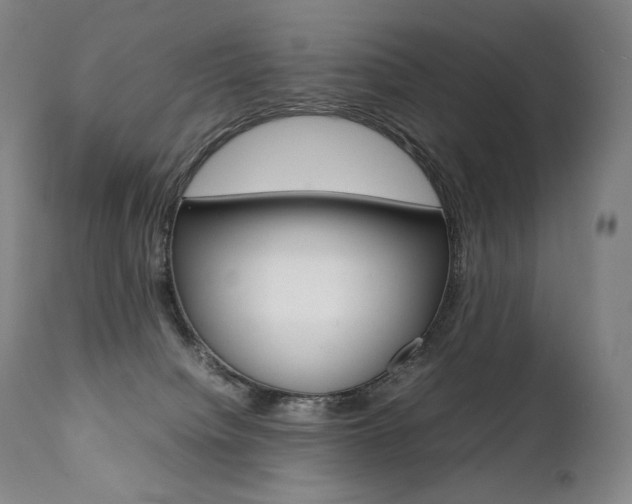 X0000111390084200907101011