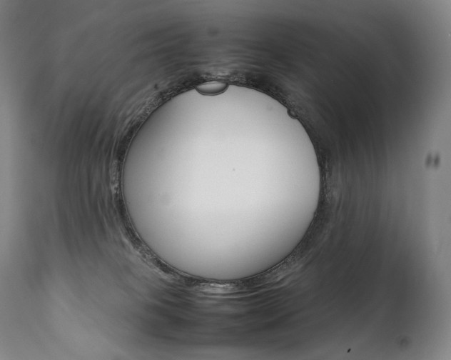 X0000111390085200907101011