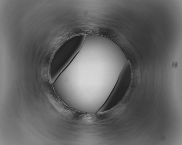 X0000111390088200907101011