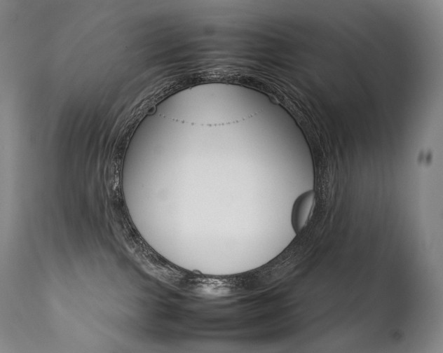 X0000111390091200907101011