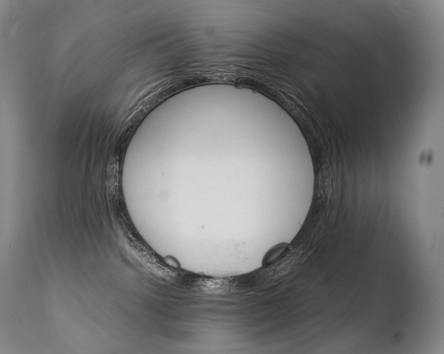 X0000111390092200907101011