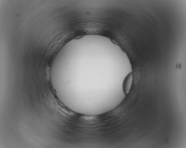 X0000111390093200907101011