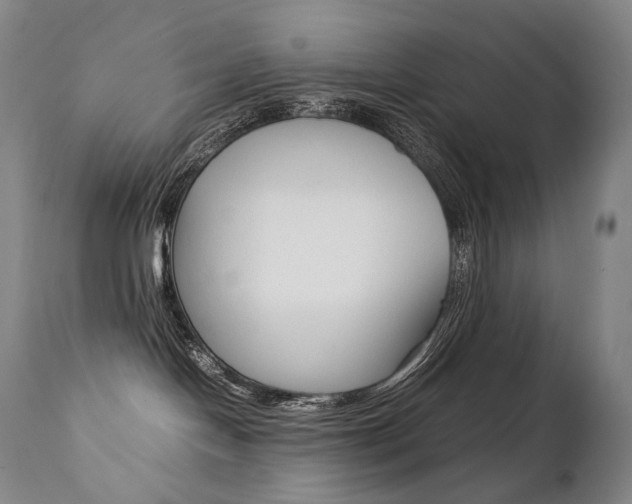 X0000111390094200907101011