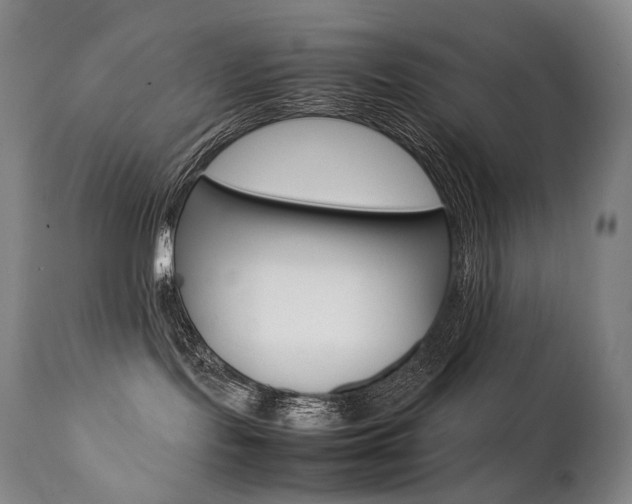X0000111390095200907101011