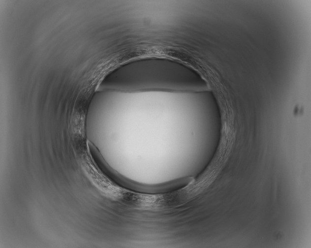 X0000111390096200907101011