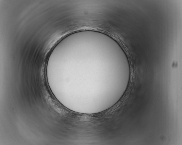 X0000111390098200907101011