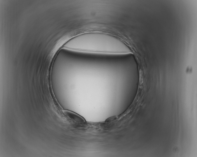 X0000111390099200907101010