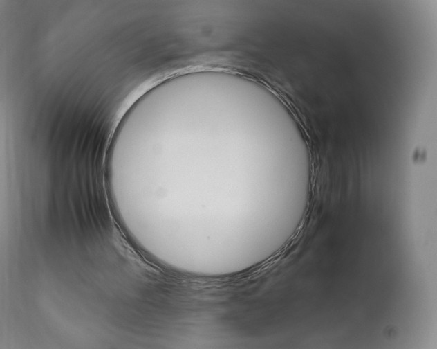 X0000111390100200907101010