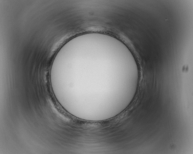 X0000111390106200907101010