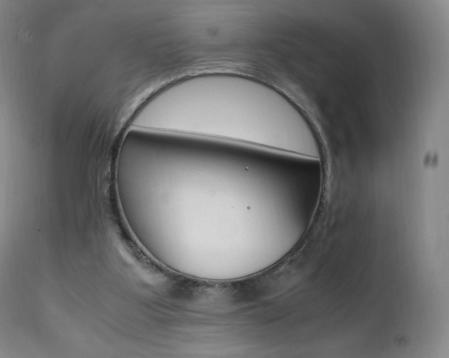 X0000111390107200907101010
