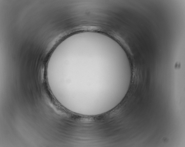 X0000111390110200907101010
