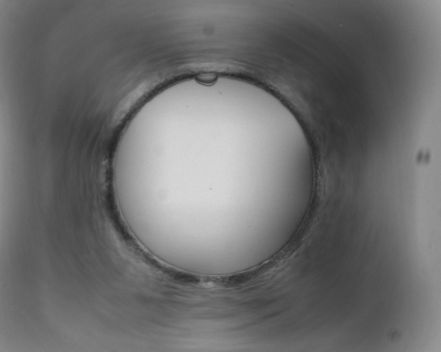 X0000111390111200907101010