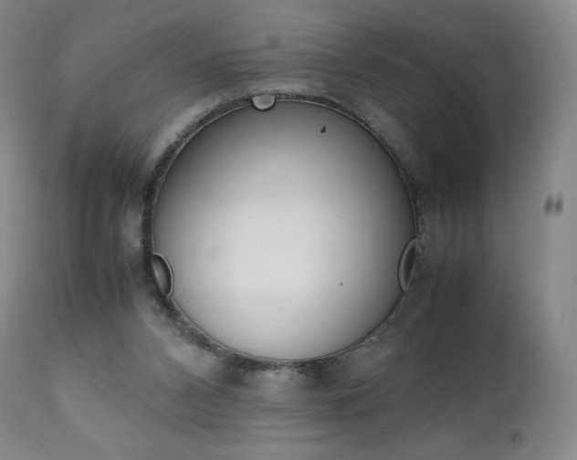X0000111390112200907101010