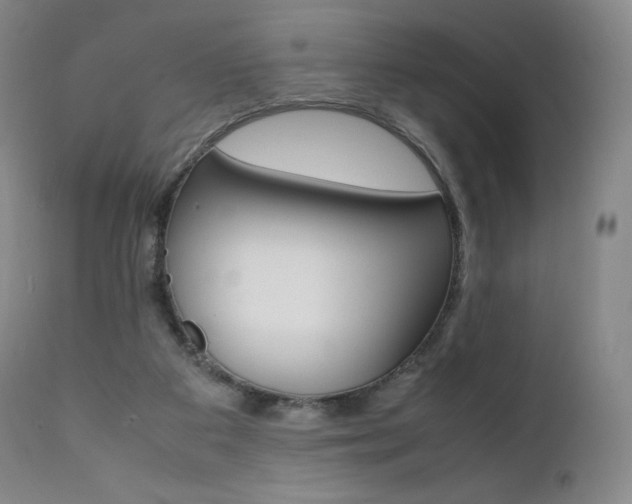 X0000111390113200907101010